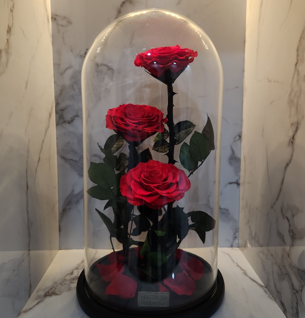 Preserved Roses I 3 Roses in a Glass Dome I Gifts for her I Forever Eternal Roses - BAS Kuwait