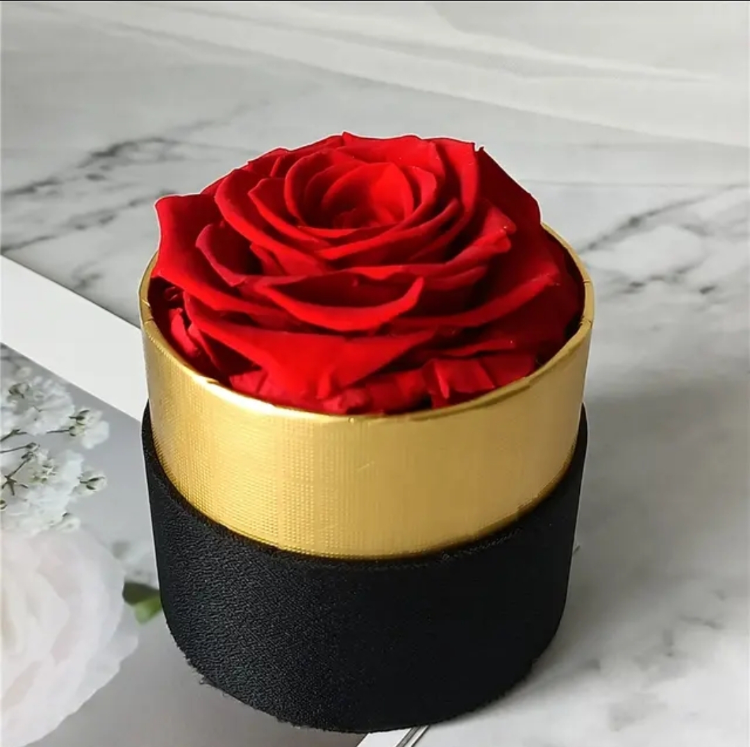 Preserved Roses I Single rose in A Box I Gifts for her I Forever Eternal Roses - BAS Kuwait