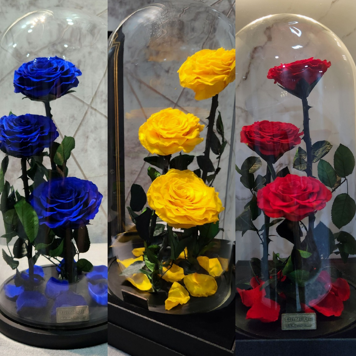 Preserved Roses I 3 Roses in a Glass Dome I Gifts for her I Forever Eternal Roses - BAS Kuwait