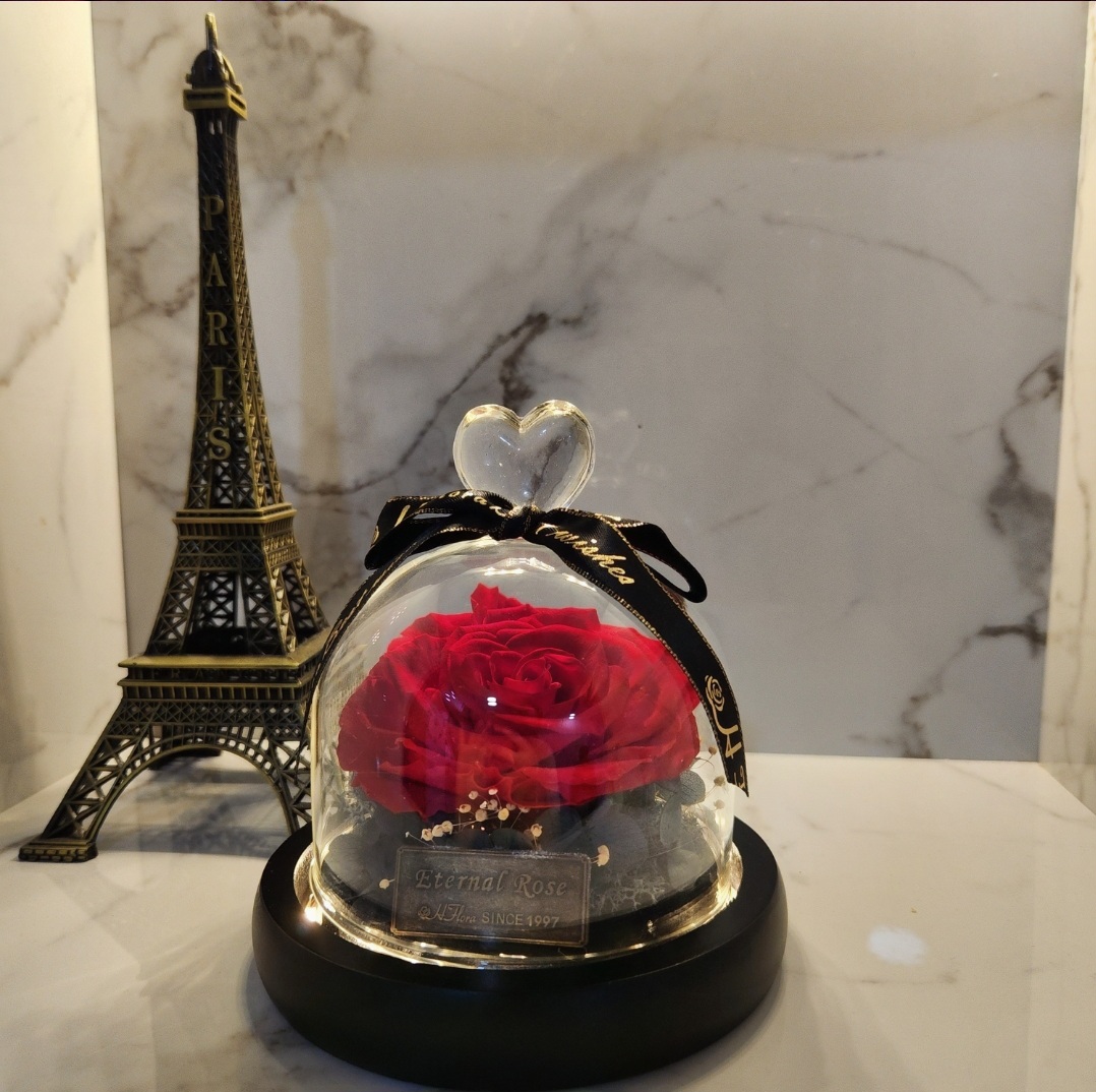 Preserved Roses I Single rose in A Glass Dome with Fairy Lights I Gifts for her I Forever Eternal Roses - BAS Kuwait