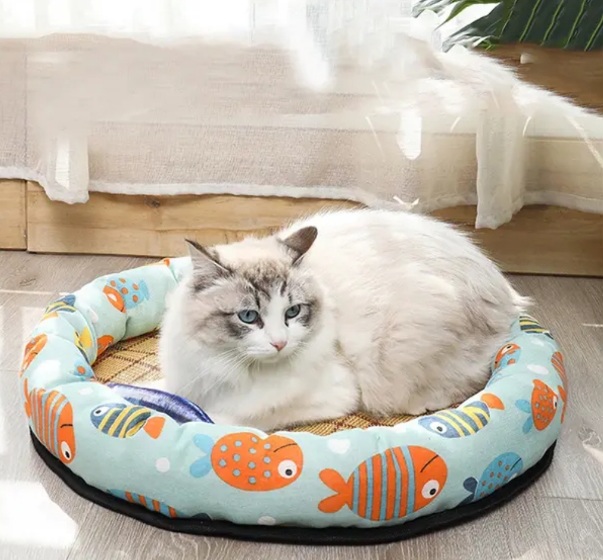 Round Pet Sofa with Velvet Cushion for Cats & Dogs - BAS Kuwait